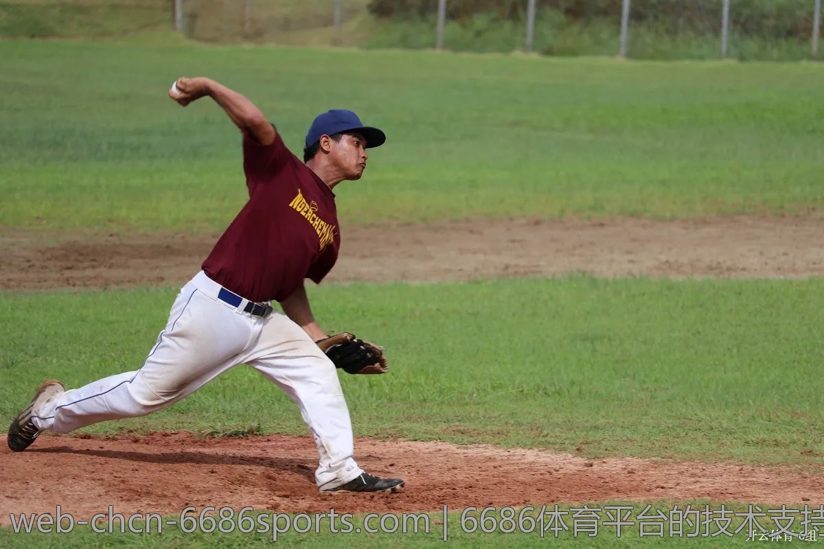 6686体育平台的技术支持,客服服务质量评测