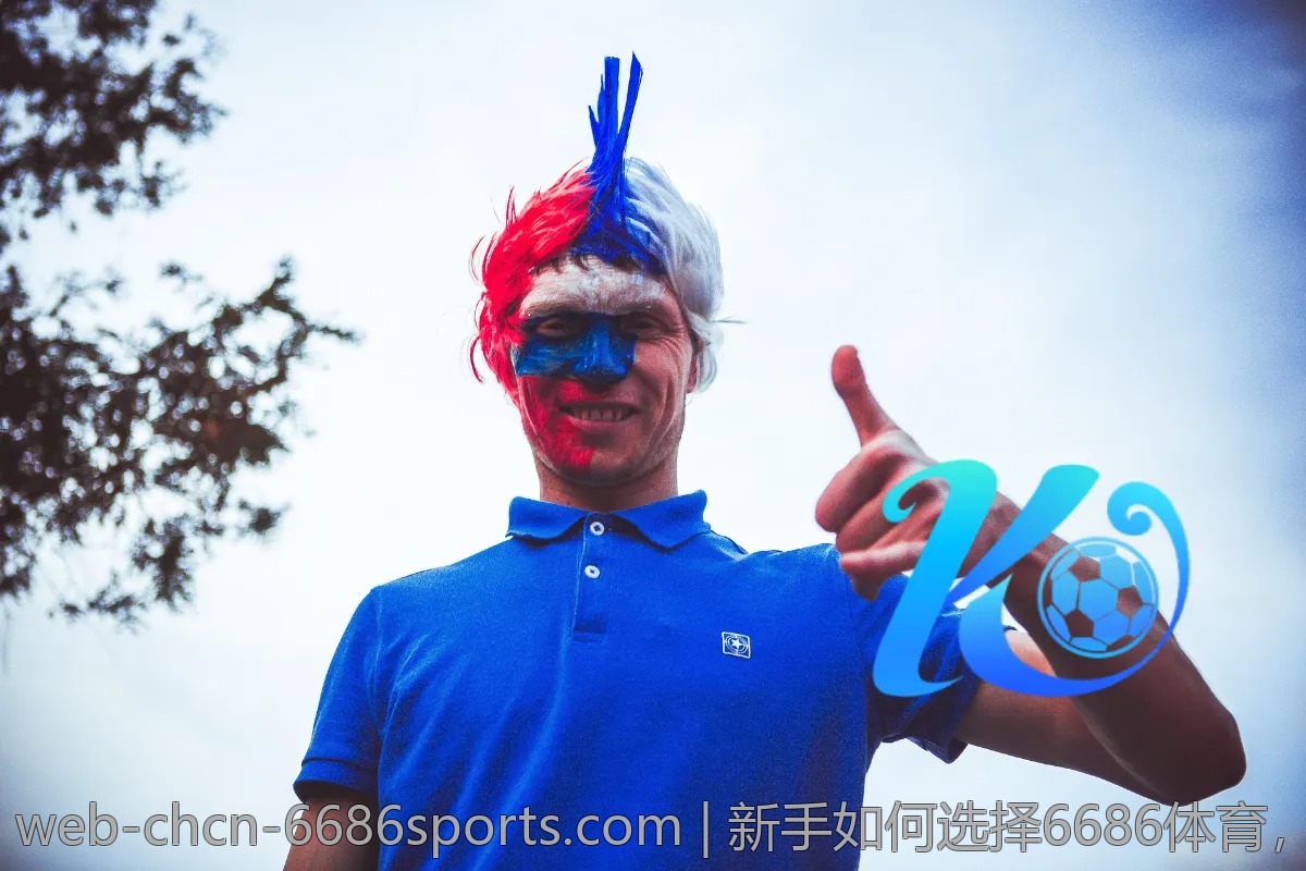 新手如何选择6686体育,全面解析与推荐